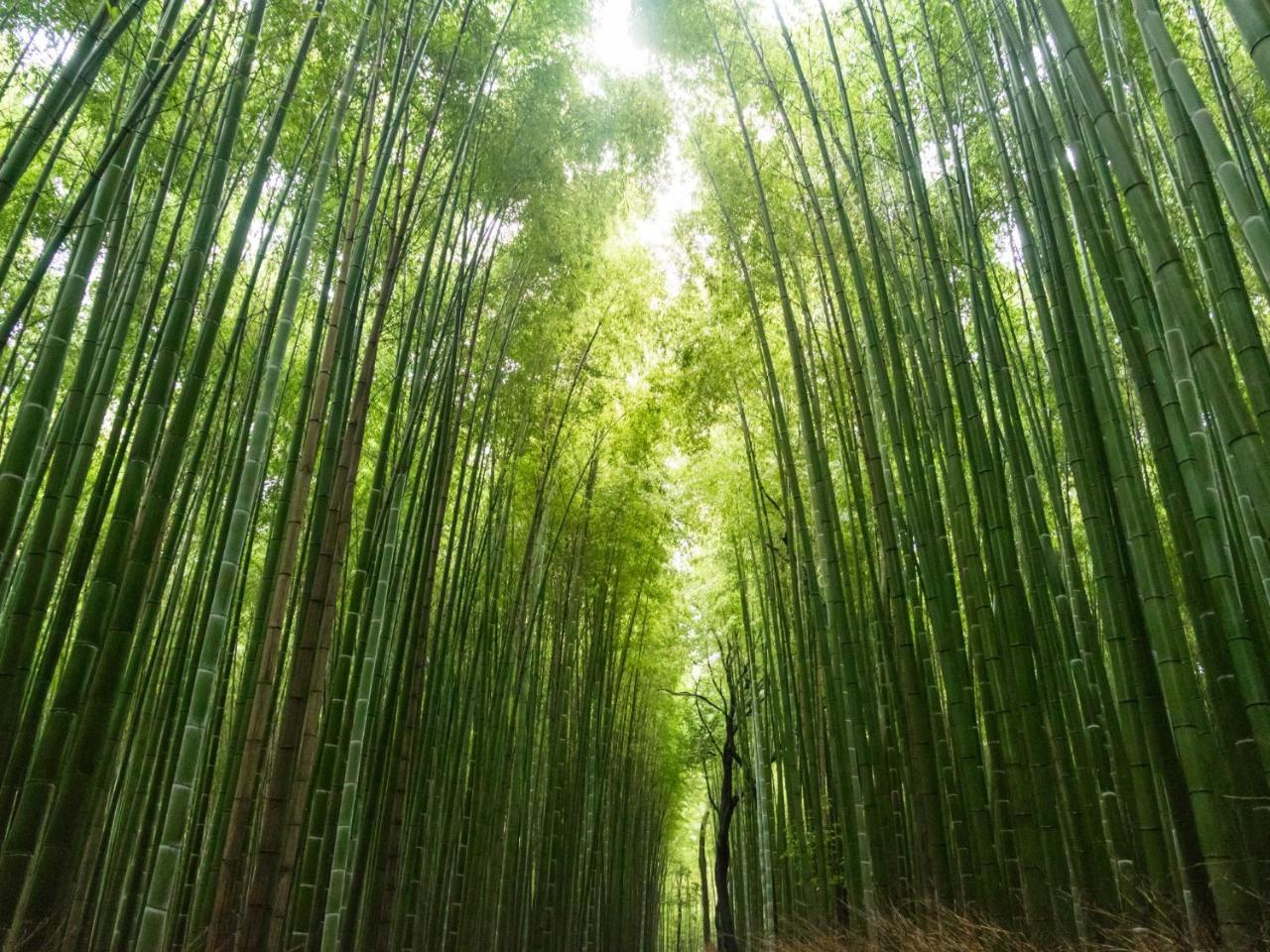 Kyoto Machiyado Shijokarasuma Hotel Buitenkant foto